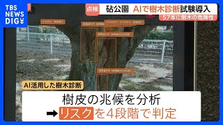立ち入り制限も…倒木相次ぐ東京・砧公園でAI活用した樹木診断を試験的に開始　AI活用の目的は「効率化やスピードアップ」｜TBS NEWS DIG