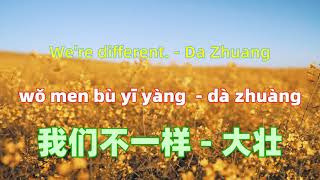 我们不一样 - 大壮 We&#39;re different. - Da Zhuang.Chinese songs lyrics with Pinyin.