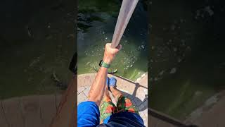 Cleaning Up The Dirtiest Pool Ever - FOR FREE