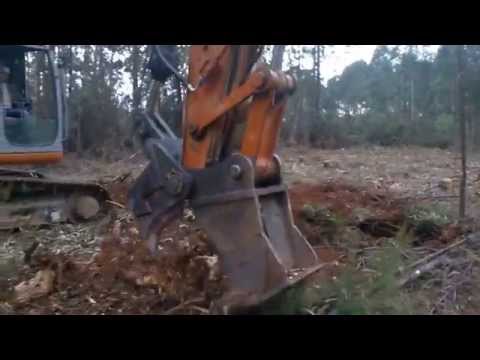 // Tesoura // Pousamil