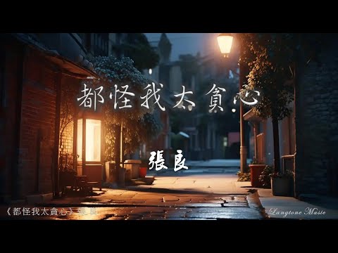 都怪我太貪心 Dou guai wo tai tan xin 張良 Zhang Liang #動態歌詞 Pinyin/Lyrics Music