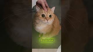 Download lagu DJ DONOR - Remix (Full Bass Viral TikTok Beat 2026) mp3 Download lagu DJ DONOR - Remix (Full Bass Viral TikTok Beat 2026) mp3