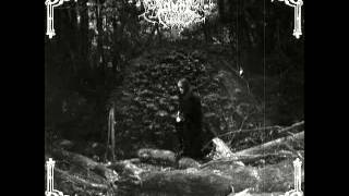 Music video thumbnail preview for Drowning The Light - The Cult Of Shadows by Drowning the Light