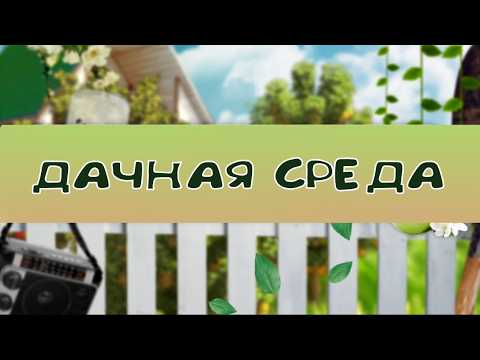 Жара, ливни и град - как помочь посадкам в экстремальных погодных  условиях