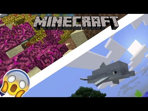 NEW MINECRAFT AQUATIC UPDATE – NEWS & SPECULATIONS NEW MINECRAFT AQUATIC UPDATE – NEWS & SPECULATIONS