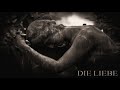 :Wumpscut: - Die Liebe (Turmyte RMX) 2006