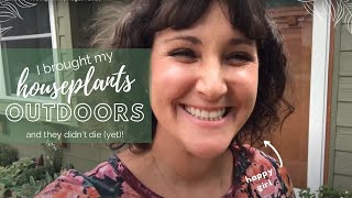 Outdoor Houseplants