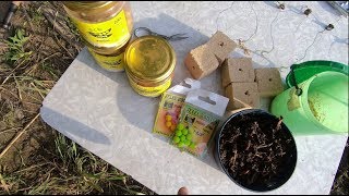 Все о ловле карпа на днестре