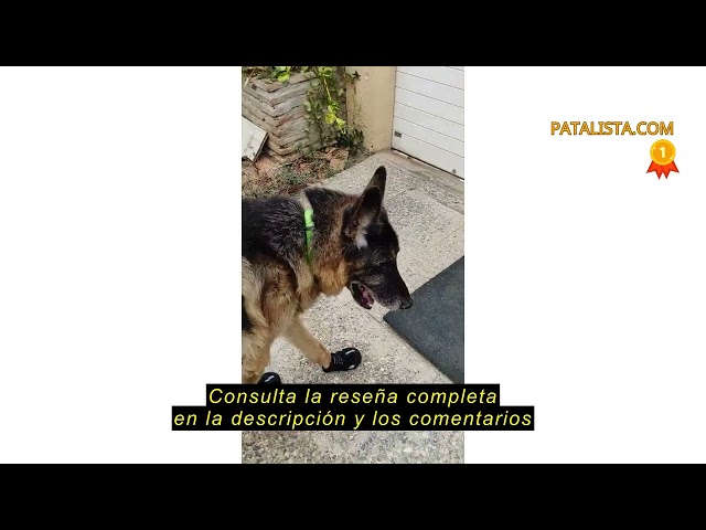 Vídeo relacionado con Trixie 19464 Walker Active - 2 Botas Protectoras, Extra, Negro, M-L, 18,8 x 13,9 x 3,6 cm