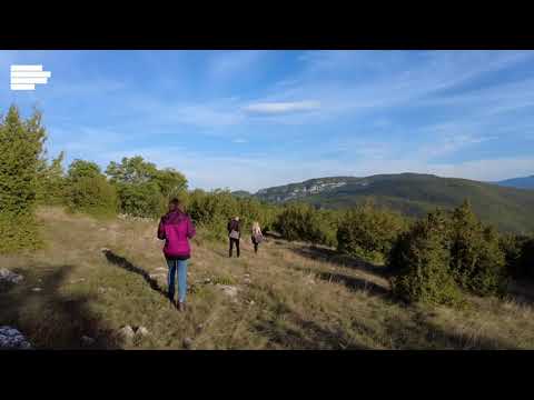 Turistički biseri Ribnika i okoline