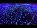 Dvdkm Lonely Triple Mix