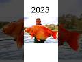 2023 Golden Fish And 5000 Mythical Biology Shortsvideo