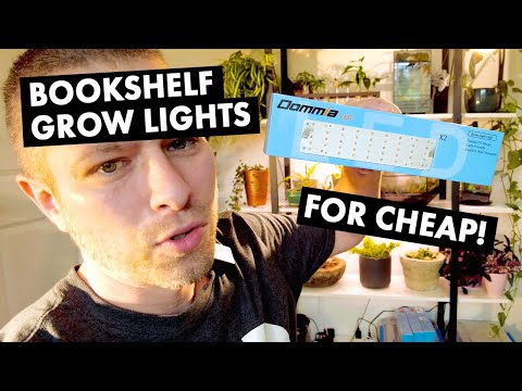 , title : 'Illuminating my grow shelf with cheap Amazon grow lights 💡 and of course happy plants.'
