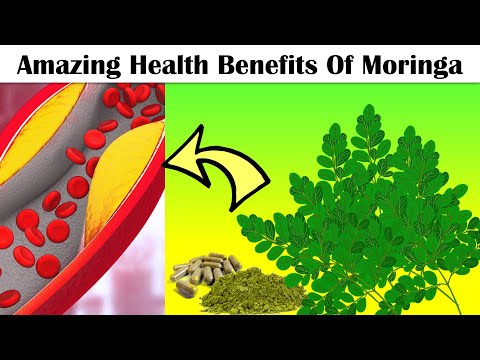 Amazing Health Benefits Of Moringa (Drumstick Tree) |Eat Moringa Everyday To Get These Benefits