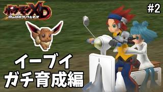 攻撃力最大のイーブイを育てます！【ポケモンXD 闇の旋風ダークルギア #2】