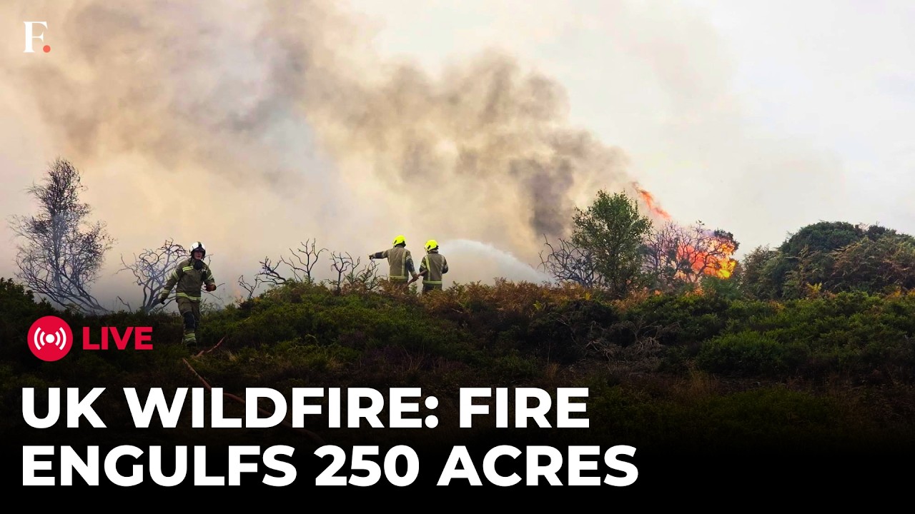 England Wildfire LIVE: Fast-Moving Blaze Burns 250 Acres, Evacuations Underway