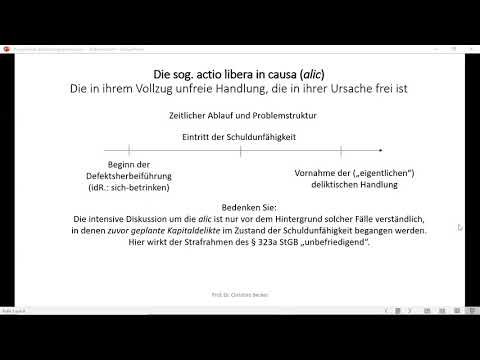 Strafrecht GK I - Teil 18 (alic)