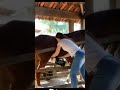 Horse Meet Girl Short Entertainment Youtubeshorts