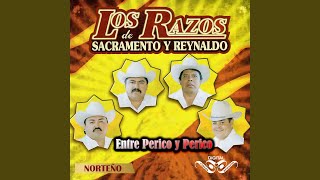 Entre Perico y Perico