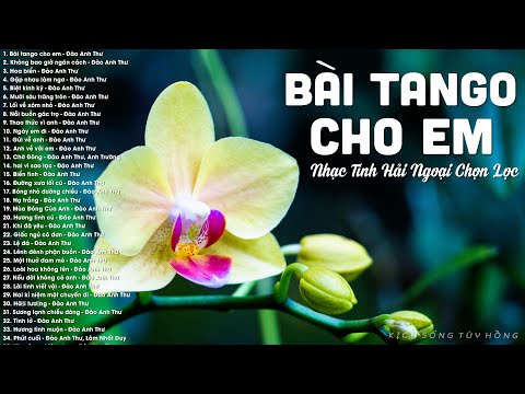 Bài Tango Cho Em - Nhạc tình hải ngoại xưa nghe thêm yêu cuộc đời