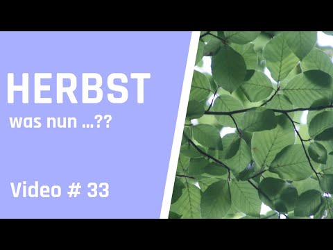 Bonsai im Herbst - Anleitung und Tipps