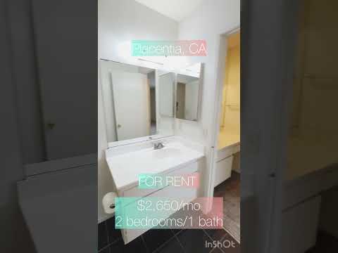 319 Josie - Video 2 of 2