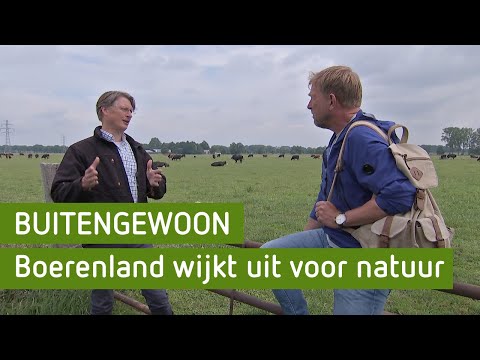 Boerenland wijkt uit voor natuur | BuitenGewoon
