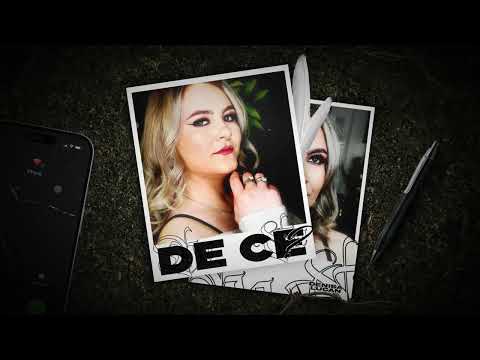 Denisa Lucan - De ce? | Visualizer