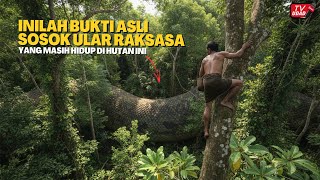 Download lagu SEDANG VIRAL‼️Rekaman Mengejutkan Ini Menampakkan Sosok Ular Raksasa Penghuni Gunung Terangker... mp3