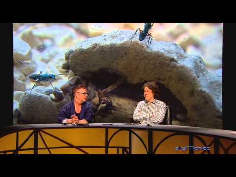 Stephen Fry on Insects, and the beauty of nature and Evolution :)