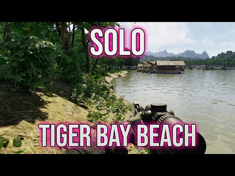 How TO SOLO CLEAR TIGER BAY BEACH in Gray Zone Warfare