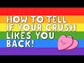 6 Signs Your Crush Likes You Back