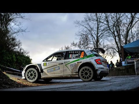 RALLY DEL CIOCCHETTO 2018|MISTAKES AND CRASH