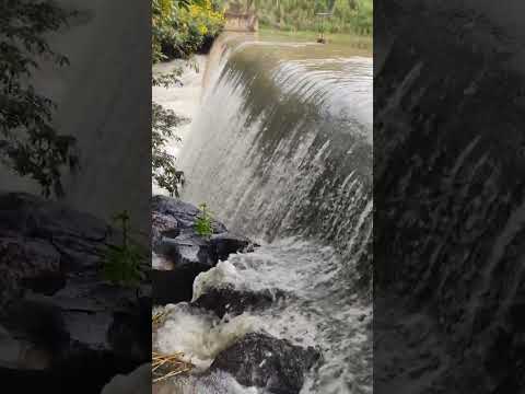 Mais da barragem da Tapérinha em Novo Horizonte / BA