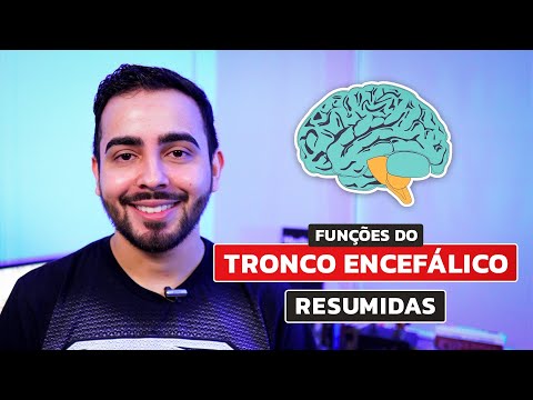 Funções do Tronco Encefálico │ MEDICINA RESUMIDA