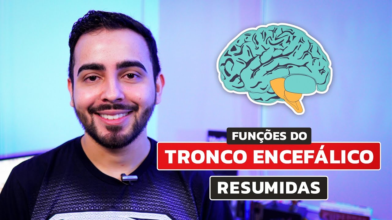 Funções do Tronco Encefálico │ MEDICINA RESUMIDA