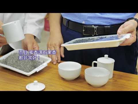 110年度新竹縣夏季東方美人茶(膨風茶)優良茶評鑑出爐 大自在空間榮獲特等獎
