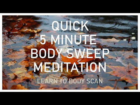 Quick 5 Minute Body Sweep Meditation - Learn to Body Scan
