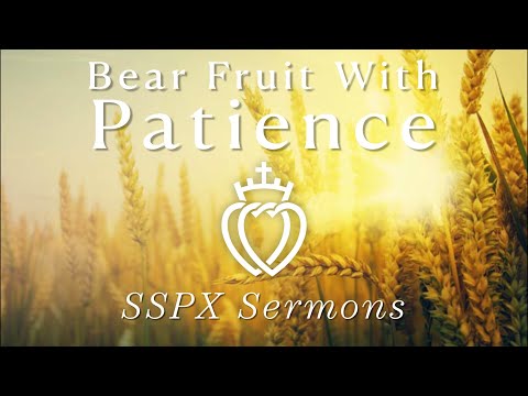Bear Fruit With Patience - SSPX Sermons