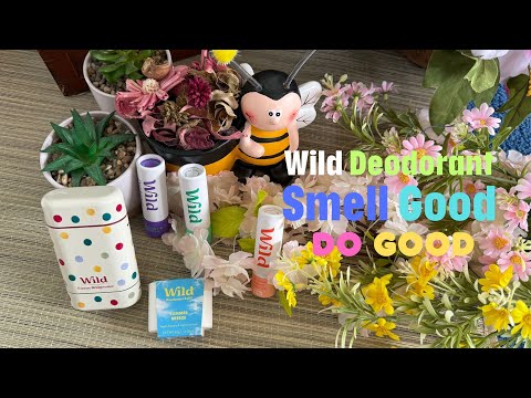 Watch Switched To Wild