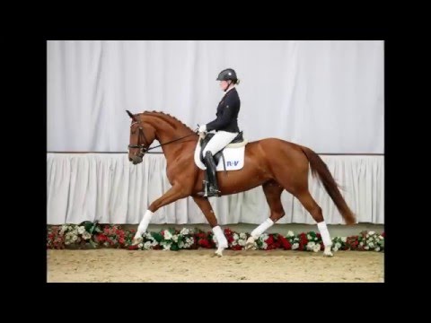 24 Suki  Stute v. Sunday - Fidermark