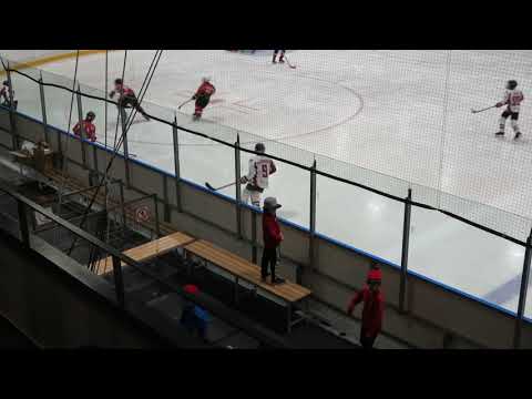 Vipers 2009 vs Vipers 2010 (1/2)