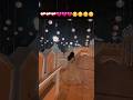 Ek Wo Bhi Zamana Tha Mera Mera Yaar Deewana Tha Mera Status Music Trending Shorts Song
