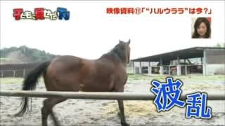 Re: [新聞] 要錢沒人性《賽馬娘 Pretty Derby》鬼畜