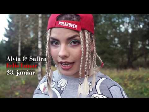 Árið 2017 í íslenskum rappmyndböndum