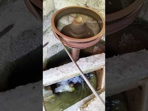 Biến con suối thành nguồn điện sạch