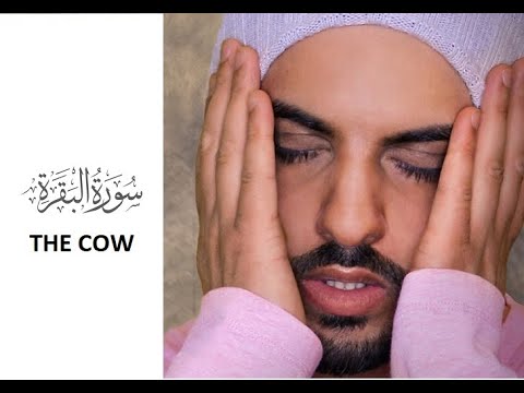 Quran Majeed - ⁰² Surah Al Baqarah Full By Omar hisham Al Arabi - Islam The Right Path -