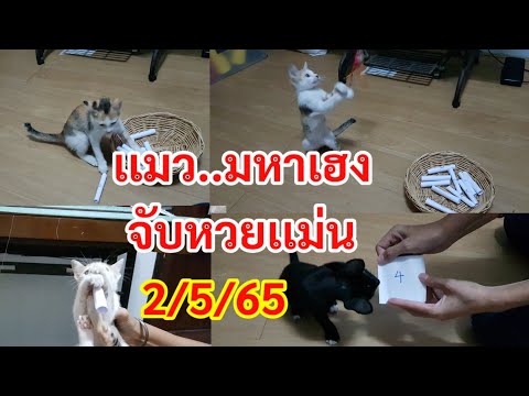 หวยดี