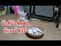 หวยดี