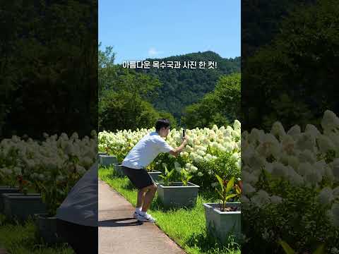 여기는 상주입니다(2025 SOS공모전-장려)